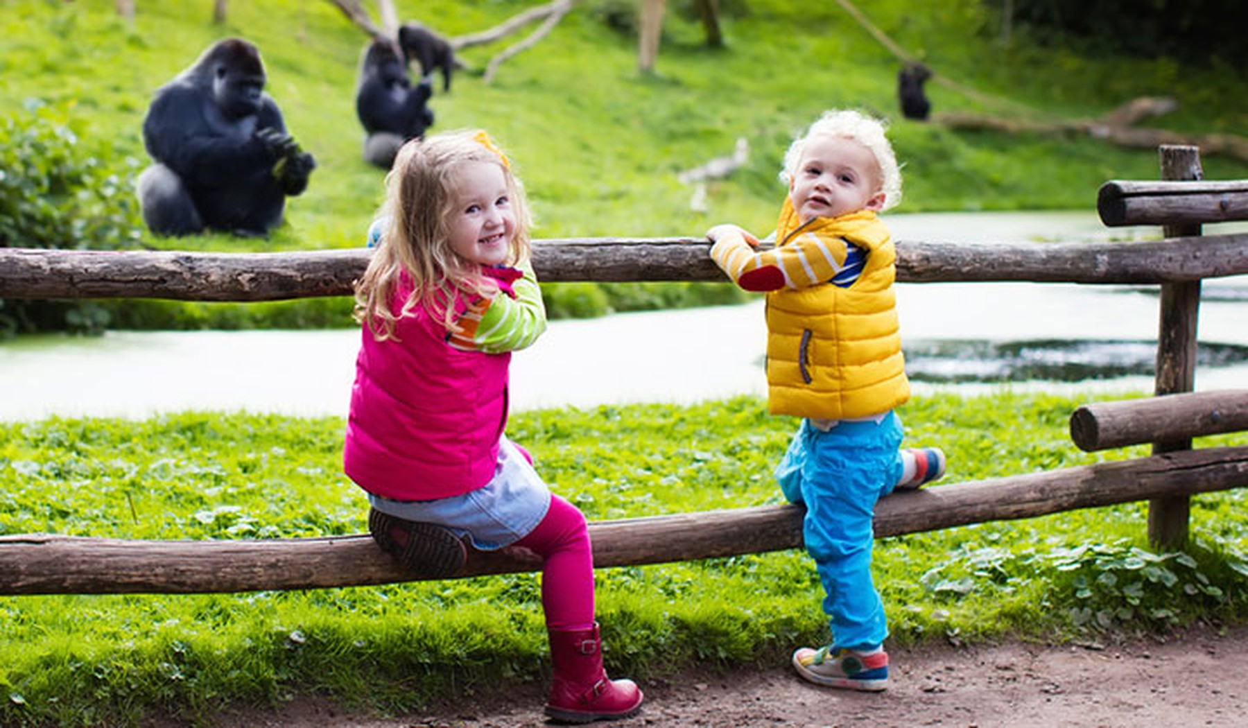 Twee kleine kinderen in de dierentuin met apen op de achtergrond