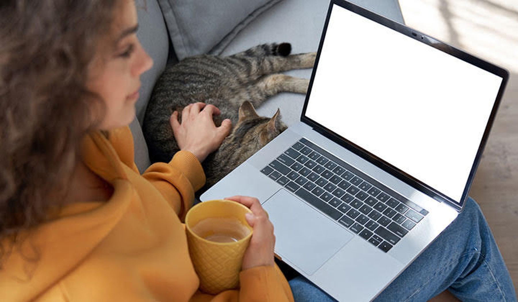 Een vrouw achter de laptop met daarnaast een kat
