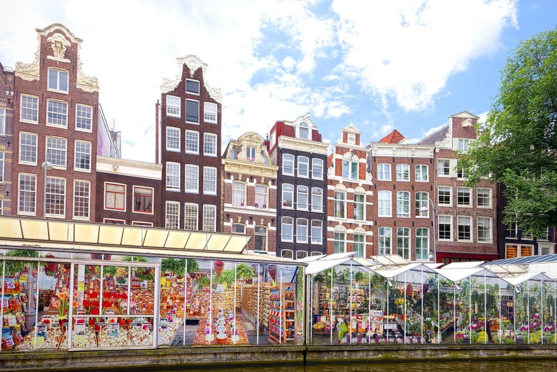 De bloemenmarkt in Amsterdam