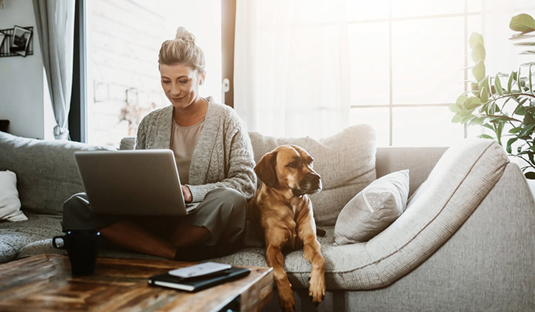 Vrouw met hond en laptop op bank
