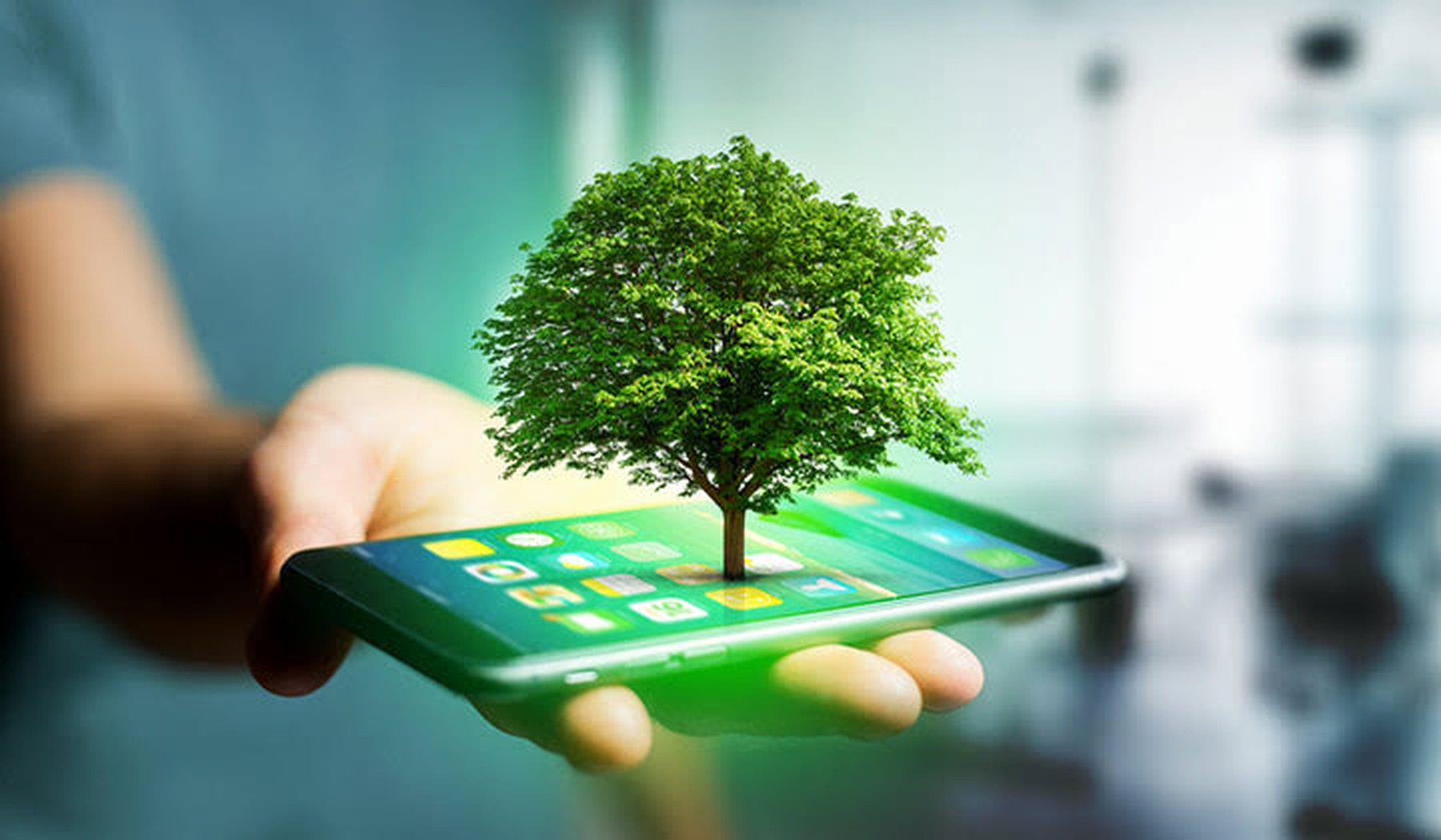 Een groen boompje dat uit een smartphone komt