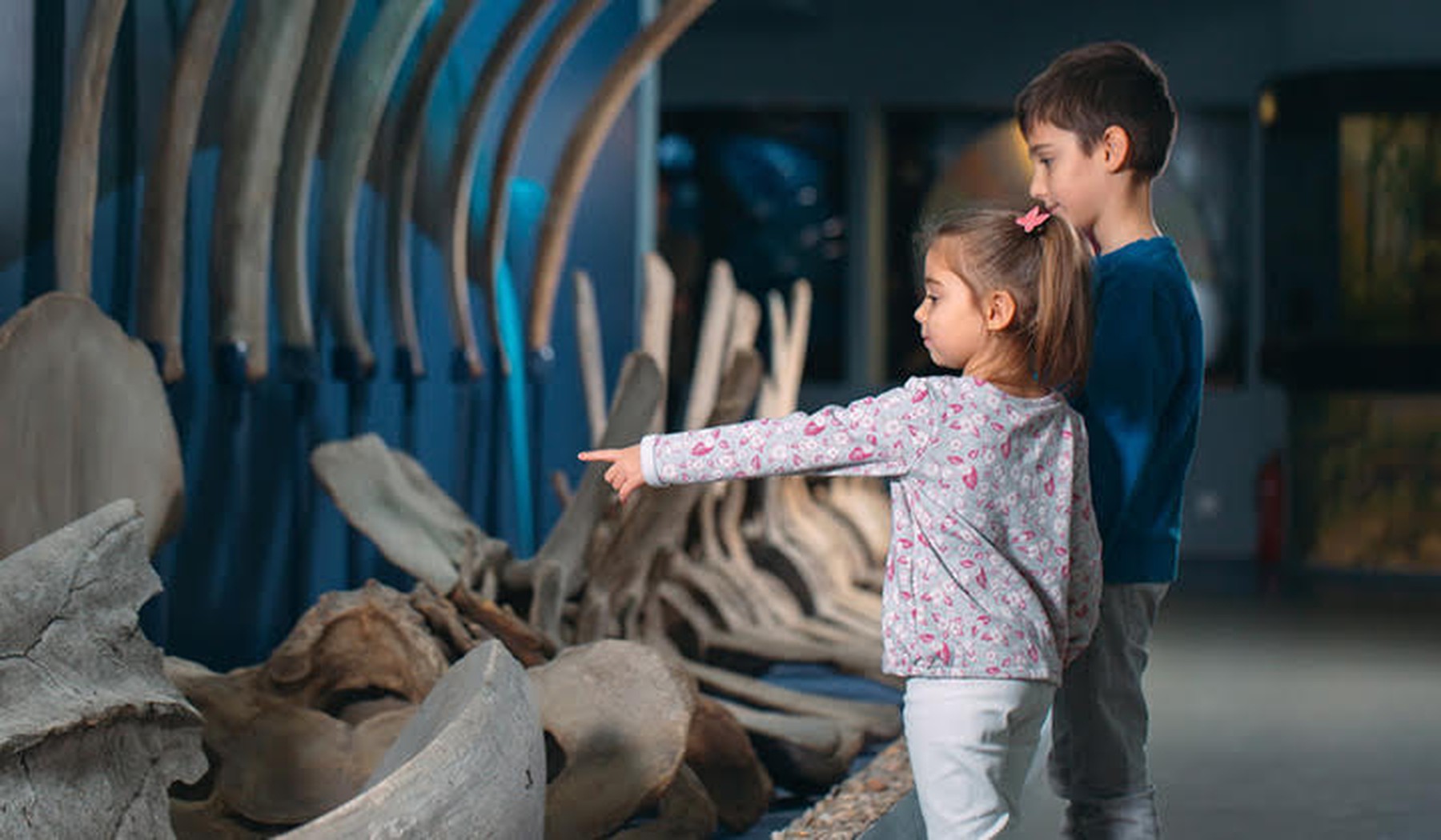 Twee kinderen die naar een skelet kijken in een museum