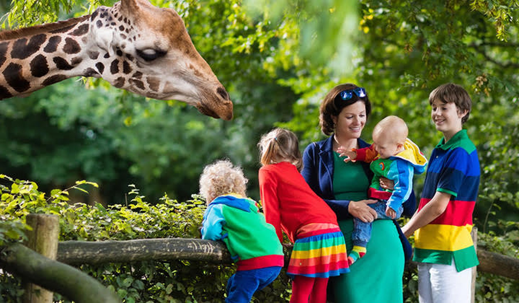 Een vrouw met vier kinderen in een dierentuin bij een giraffe